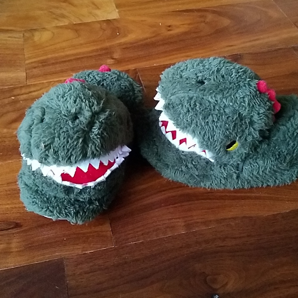 Dinosaur slippers